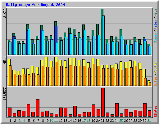 Daily usage for August 2024