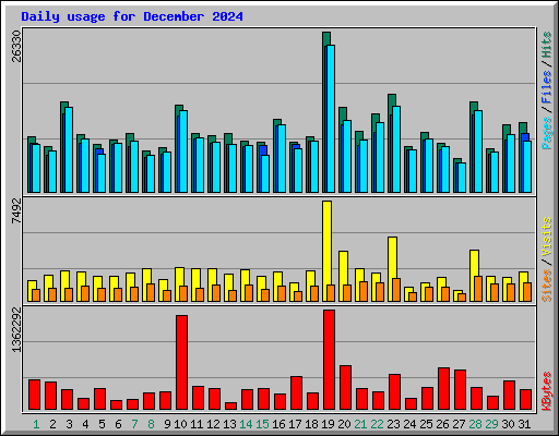 Daily usage for December 2024