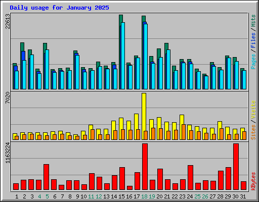 Daily usage for January 2025