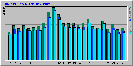 Hourly usage for May 2024