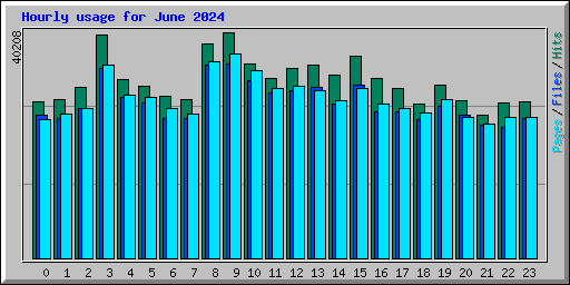 Hourly usage for June 2024