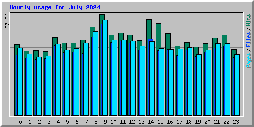 Hourly usage for July 2024