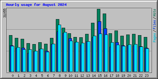 Hourly usage for August 2024