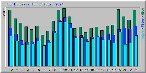 Hourly usage for October 2024