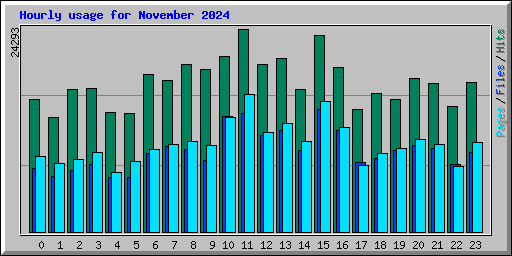 Hourly usage for November 2024