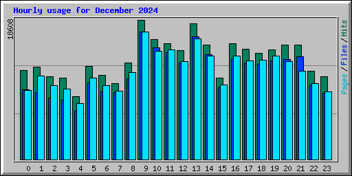 Hourly usage for December 2024