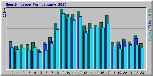 Hourly usage for January 2025