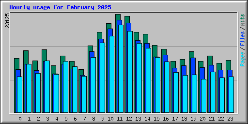 Hourly usage for February 2025