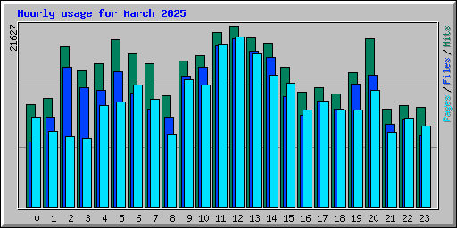Hourly usage for March 2025