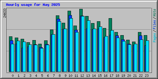 Hourly usage for May 2025